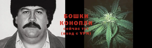 трава Алзамай